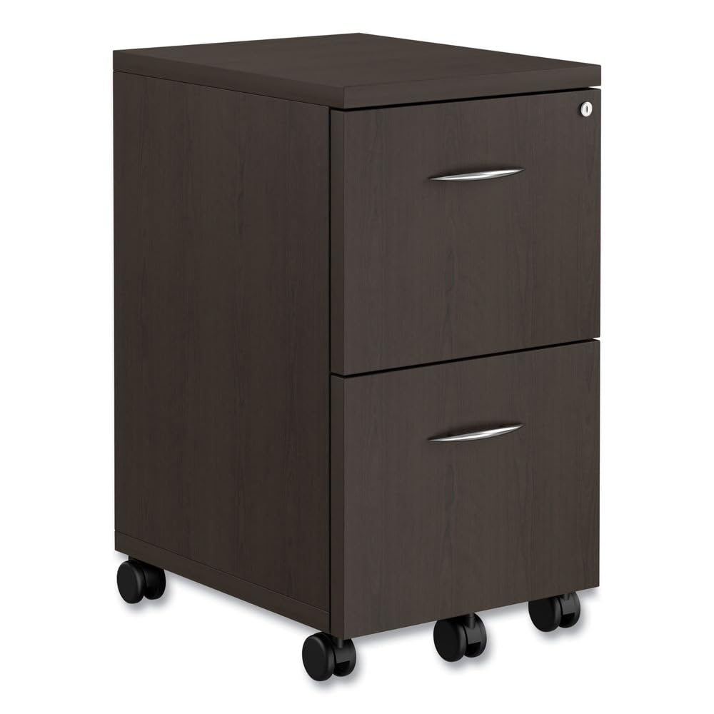 Drawer Pedestal Cabinet - Mobiele archiefkast met 2 laden, afsluitbaar,