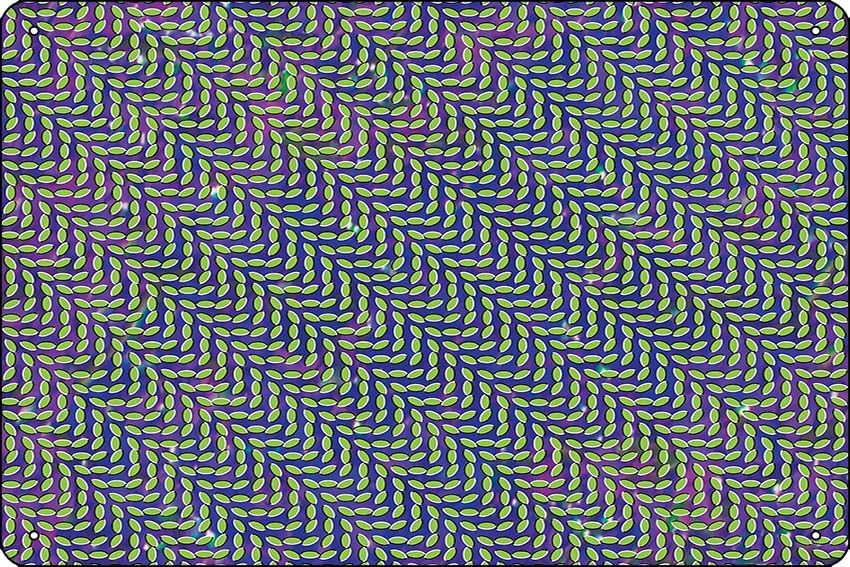 Animal Collective - Merriweath - Home Office X Post recensie en prijs