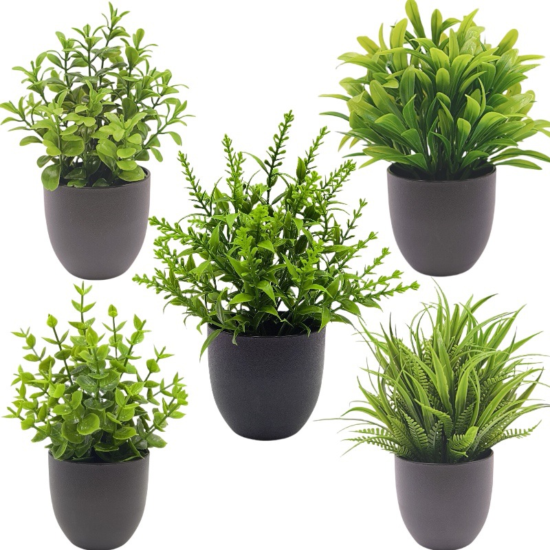 Simulatie Groene Plant Bonsai  - Home Office Simulator recensie en prijs