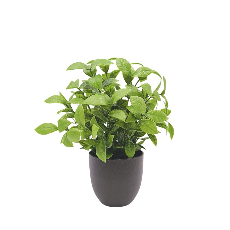 Simulatie Groene Plant Bonsai  - Home Office Simulator recensie en prijs