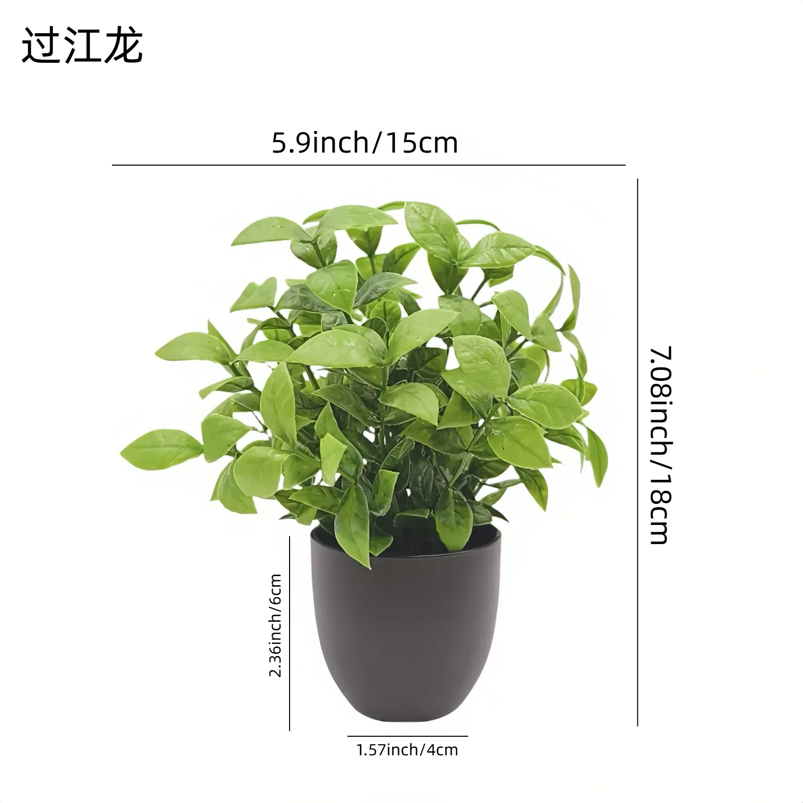 Simulatie Groene Plant Bonsai  - Home Office Simulator recensie en prijs